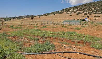 Antalya Büyükşehir Belediyesi arıtma suyunu tarımda kullandı