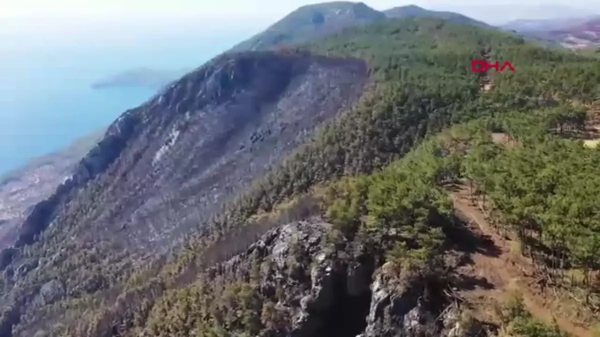 Muğla’da Orman Yangınlarına Müdahale